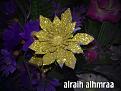 اضغط على الصورة لعرض أكبر. 

الإسم:	27042011264.jpg 
مشاهدات:	1986 
الحجم:	457.1 كيلوبايت 
الهوية:	847146