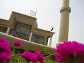اضغط على الصورة لعرض أكبر. 

الإسم:	DSC03726.jpg 
مشاهدات:	1992 
الحجم:	364.8 كيلوبايت 
الهوية:	849853