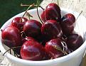 اضغط على الصورة لعرض أكبر. 

الإسم:	cherries1-saidaonline.jpg 
مشاهدات:	7644 
الحجم:	76.1 كيلوبايت 
الهوية:	849900