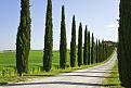 اضغط على الصورة لعرض أكبر. 

الإسم:	Villa Driveway, Tuscany, Italy.jpg 
مشاهدات:	1403 
الحجم:	485.9 كيلوبايت 
الهوية:	852208