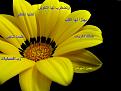 اضغط على الصورة لعرض أكبر. 

الإسم:	تصميم.jpg 
مشاهدات:	1167 
الحجم:	574.4 كيلوبايت 
الهوية:	855609
