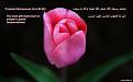 اضغط على الصورة لعرض أكبر. 

الإسم:	images (92).jpg 
مشاهدات:	21191 
الحجم:	5.7 كيلوبايت 
الهوية:	855969