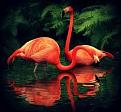 اضغط على الصورة لعرض أكبر. 

الإسم:	imagesCAE7EGYB.jpg 
مشاهدات:	1139 
الحجم:	7.6 كيلوبايت 
الهوية:	856092