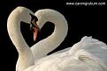 اضغط على الصورة لعرض أكبر. 

الإسم:	imagesCAV0WCZW.jpg 
مشاهدات:	1178 
الحجم:	5.8 كيلوبايت 
الهوية:	856093