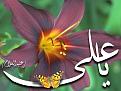اضغط على الصورة لعرض أكبر. 

الإسم:	ياعلي.jpg 
مشاهدات:	7561 
الحجم:	56.8 كيلوبايت 
الهوية:	856128