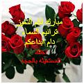 اضغط على الصورة لعرض أكبر. 

الإسم:	image.jpg 
مشاهدات:	1311 
الحجم:	551.6 كيلوبايت 
الهوية:	856161