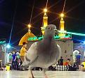 اضغط على الصورة لعرض أكبر. 

الإسم:	10445934_895634197148122_3254167241465599816_n.jpg 
مشاهدات:	22263 
الحجم:	56.0 كيلوبايت 
الهوية:	856225