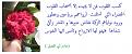 اضغط على الصورة لعرض أكبر. 

الإسم:	imagesلالالالاقصص2ض.jpg 
مشاهدات:	4979 
الحجم:	60.3 كيلوبايت 
الهوية:	856292