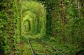 اضغط على الصورة لعرض أكبر. 

الإسم:	amazing-tree-tunnels-2-1.jpg 
مشاهدات:	2064 
الحجم:	158.3 كيلوبايت 
الهوية:	856333