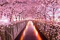 اضغط على الصورة لعرض أكبر. 

الإسم:	amazing-tree-tunnels-5.jpg 
مشاهدات:	2173 
الحجم:	171.7 كيلوبايت 
الهوية:	856336