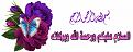 اضغط على الصورة لعرض أكبر. 

الإسم:	13527352441.jpg 
مشاهدات:	1588 
الحجم:	24.6 كيلوبايت 
الهوية:	856486