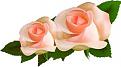 اضغط على الصورة لعرض أكبر. 

الإسم:	images (91).jpg 
مشاهدات:	5931 
الحجم:	6.6 كيلوبايت 
الهوية:	856566