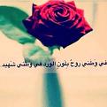 اضغط على الصورة لعرض أكبر. 

الإسم:	10428098_335978726603130_2613728218529715298_n.jpg 
مشاهدات:	10800 
الحجم:	24.9 كيلوبايت 
الهوية:	857241