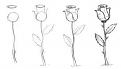 اضغط على الصورة لعرض أكبر. 

الإسم:	image.jpg 
مشاهدات:	6434 
الحجم:	12.8 كيلوبايت 
الهوية:	857564