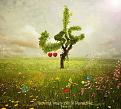 اضغط على الصورة لعرض أكبر. 

الإسم:	1463516_185247758346235_1846832563_n.jpg 
مشاهدات:	2759 
الحجم:	116.0 كيلوبايت 
الهوية:	857619