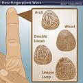 اضغط على الصورة لعرض أكبر. 

الإسم:	fingerprint-2.jpg 
مشاهدات:	2159 
الحجم:	14.5 كيلوبايت 
الهوية:	857709