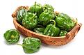 اضغط على الصورة لعرض أكبر. 

الإسم:	green-Paprika.jpg 
مشاهدات:	1750 
الحجم:	49.9 كيلوبايت 
الهوية:	857755