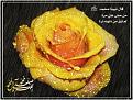 اضغط على الصورة لعرض أكبر. 

الإسم:	13352020462.jpg 
مشاهدات:	2057 
الحجم:	27.0 كيلوبايت 
الهوية:	857765