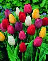 اضغط على الصورة لعرض أكبر. 

الإسم:	1613893_940761519297426_6457907696830234359_n.jpg 
مشاهدات:	2402 
الحجم:	25.1 كيلوبايت 
الهوية:	857858