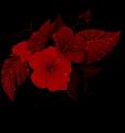 اضغط على الصورة لعرض أكبر. 

الإسم:	img_1423481276_767.jpg 
مشاهدات:	958 
الحجم:	5.5 كيلوبايت 
الهوية:	858001