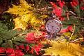 اضغط على الصورة لعرض أكبر. 

الإسم:	b0f745013f0ee2be26e8f022b49f7e18.jpg 
مشاهدات:	3966 
الحجم:	34.1 كيلوبايت 
الهوية:	858058