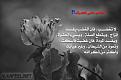 اضغط على الصورة لعرض أكبر. 

الإسم:	image00919-615x407.jpg 
مشاهدات:	5103 
الحجم:	100.5 كيلوبايت 
الهوية:	858246