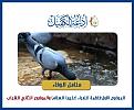 اضغط على الصورة لعرض أكبر. 

الإسم:	&#1605;&#1606;&#1575;&#1607;&#1604; &#1575;&#1604;&#1608;&#1601;&#1575;&#1569;.jpg 
مشاهدات:	1244 
الحجم:	157.2 كيلوبايت 
الهوية:	858537