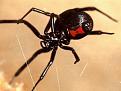 اضغط على الصورة لعرض أكبر. 

الإسم:	image.jpg 
مشاهدات:	1353 
الحجم:	14.1 كيلوبايت 
الهوية:	858762