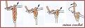 اضغط على الصورة لعرض أكبر. 

الإسم:	image.jpg 
مشاهدات:	14422 
الحجم:	12.7 كيلوبايت 
الهوية:	858841