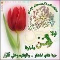 اضغط على الصورة لعرض أكبر. 

الإسم:	image.jpg 
مشاهدات:	2395 
الحجم:	65.3 كيلوبايت 
الهوية:	858987
