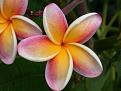 اضغط على الصورة لعرض أكبر. 

الإسم:	IMG-20150221-WA0058.jpg 
مشاهدات:	1307 
الحجم:	68.4 كيلوبايت 
الهوية:	859164