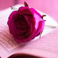 اضغط على الصورة لعرض أكبر. 

الإسم:	IMG-20141001-WA0007.jpg 
مشاهدات:	2274 
الحجم:	43.7 كيلوبايت 
الهوية:	859165