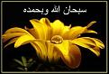 اضغط على الصورة لعرض أكبر. 

الإسم:	سبخان.jpg 
مشاهدات:	2179 
الحجم:	24.5 كيلوبايت 
الهوية:	859256