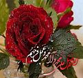 اضغط على الصورة لعرض أكبر. 

الإسم:	صلي.jpg 
مشاهدات:	2008 
الحجم:	43.6 كيلوبايت 
الهوية:	859258