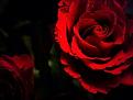 اضغط على الصورة لعرض أكبر. 

الإسم:	10987423_524793797659995_6618039640906730720_n.jpg 
مشاهدات:	1659 
الحجم:	17.6 كيلوبايت 
الهوية:	859279