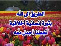 اضغط على الصورة لعرض أكبر. 

الإسم:	10978580_1538956033025037_6421964073592059528_n.jpg 
مشاهدات:	2676 
الحجم:	42.8 كيلوبايت 
الهوية:	859288