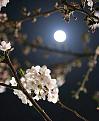اضغط على الصورة لعرض أكبر. 

الإسم:	photo_2016-08-19_22-21-29.jpg 
مشاهدات:	12714 
الحجم:	45.6 كيلوبايت 
الهوية:	859318