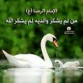 اضغط على الصورة لعرض أكبر. 

الإسم:	&#1608;&#1575;&#1604;&#1583;&#1610;&#1606;.jpg 
مشاهدات:	2905 
الحجم:	31.7 كيلوبايت 
الهوية:	859335