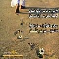 اضغط على الصورة لعرض أكبر. 

الإسم:	مهديي.jpg 
مشاهدات:	1273 
الحجم:	63.3 كيلوبايت 
الهوية:	859403