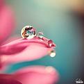 اضغط على الصورة لعرض أكبر. 

الإسم:	10592816_635417596581455_3188512140418877184_n.jpg 
مشاهدات:	1489 
الحجم:	14.5 كيلوبايت 
الهوية:	859434
