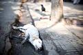 اضغط على الصورة لعرض أكبر. 

الإسم:	images.jpg 
مشاهدات:	541 
الحجم:	7.1 كيلوبايت 
الهوية:	859470