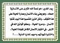 اضغط على الصورة لعرض أكبر. 

الإسم:	&#1593;&#1610;&#1583; &#1575;&#1604;&#1594;&#1583;&#1610;&#1585; 7.jpg 
مشاهدات:	2217 
الحجم:	318.7 كيلوبايت 
الهوية:	859499