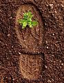 اضغط على الصورة لعرض أكبر. 

الإسم:	photo_2016-09-27_22-43-13.jpg 
مشاهدات:	2304 
الحجم:	131.5 كيلوبايت 
الهوية:	859521