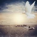 اضغط على الصورة لعرض أكبر. 

الإسم:	CnOgakxWEAAeqyT.jpg 
مشاهدات:	1334 
الحجم:	566.1 كيلوبايت 
الهوية:	863390