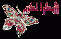 اضغط على الصورة لعرض أكبر. 

الإسم:	863thanksabeermahmoud.gif 
مشاهدات:	1286 
الحجم:	90.7 كيلوبايت 
الهوية:	876627