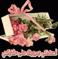 اضغط على الصورة لعرض أكبر. 

الإسم:	537886women.jpg 
مشاهدات:	1402 
الحجم:	41.8 كيلوبايت 
الهوية:	882056