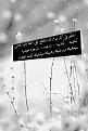 اضغط على الصورة لعرض أكبر. 

الإسم:	IMG_932172845193933.jpeg 
مشاهدات:	1822 
الحجم:	48.0 كيلوبايت 
الهوية:	905224