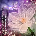 اضغط على الصورة لعرض أكبر. 

الإسم:	FB_IMG_1455444259478.jpg 
مشاهدات:	329 
الحجم:	76.5 كيلوبايت 
الهوية:	928368