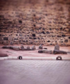 اضغط على الصورة لعرض أكبر. 

الإسم:	image.png 
مشاهدات:	868 
الحجم:	114.3 كيلوبايت 
الهوية:	974678