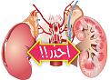 اضغط على الصورة لعرض أكبر. 

الإسم:	Kidney-copy.jpg 
مشاهدات:	863 
الحجم:	74.2 كيلوبايت 
الهوية:	981314